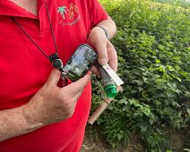 IMG_3809