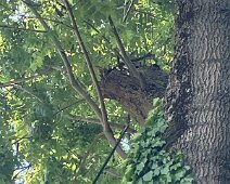 IMG_3810