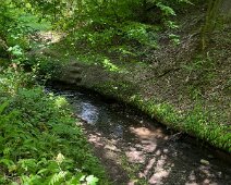 IMG_3828