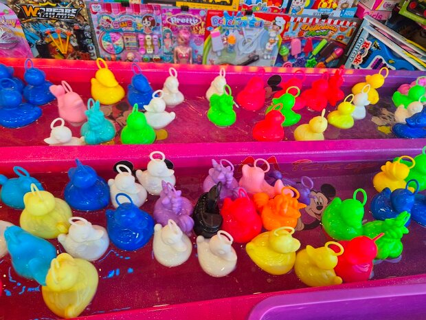 La pêche aux canards 4